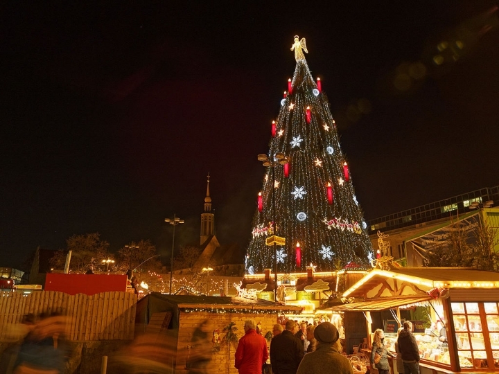 Eventi di Natale a Somma Lombardo Foto